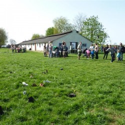 Koala 174 - Scouts en Gidsen Zaventem 